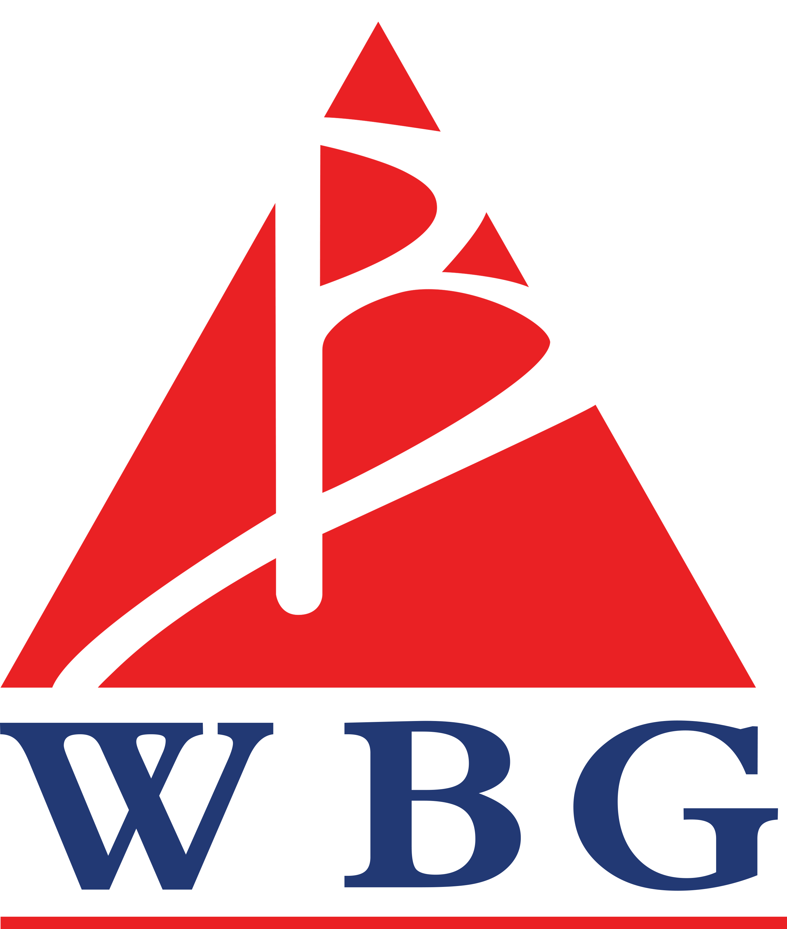 WBG